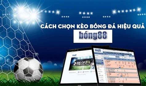 c541111 trang cá cược bóng đá bong88﻿【2024Bet.net】Tải .